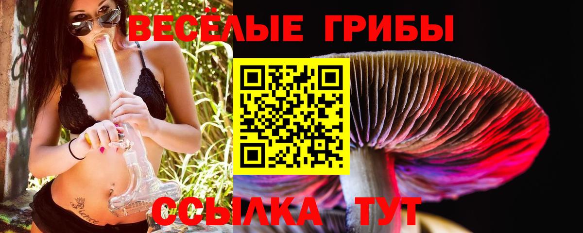 Псилоцибиновые грибы Cubensis  Галлюциногенные грибы мухоморы  дарнет шоп  Новый Уренгой  Вход с VPN 
